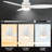 52" Alcena 3 - Blade LED Smart Flush Mount Ceiling Fans with Light-22533752