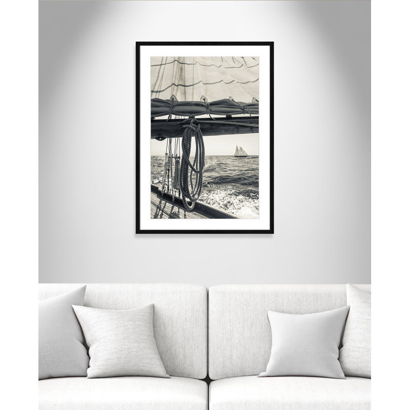 Dani Day at the Cape by Danita Delimont - Picture Frame Photograph, Black Framed, 35.5" H x 25.5" W x 0.75" D