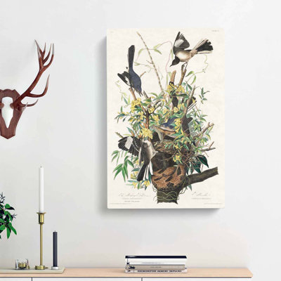 Mockingbirds & Rattlesnake by John Audubon - Wrapped Canvas Painting