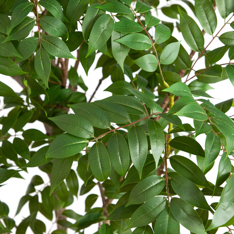 8 pi Sumac artificiel