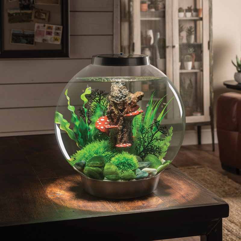 CLASSIC 30 8 Gallon Round Aquarium Tank with MCR Light, Silver
