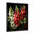Black Picture Framed