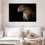 Jaguar de minuit Brampt-108725782