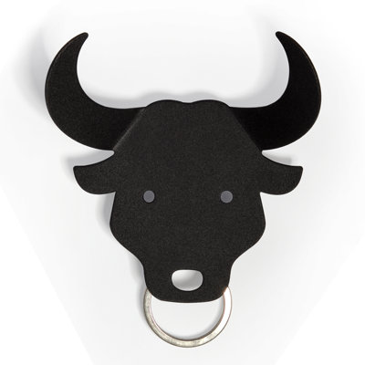 Qualy Plastic / Acrylic Wall Organizer with Key Hooks