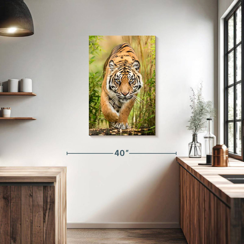 Brampt Big Cat, 36" H x 24" W
