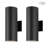 Raley 2- Bulb Outdoor Wall Lantern-676243744-770472305