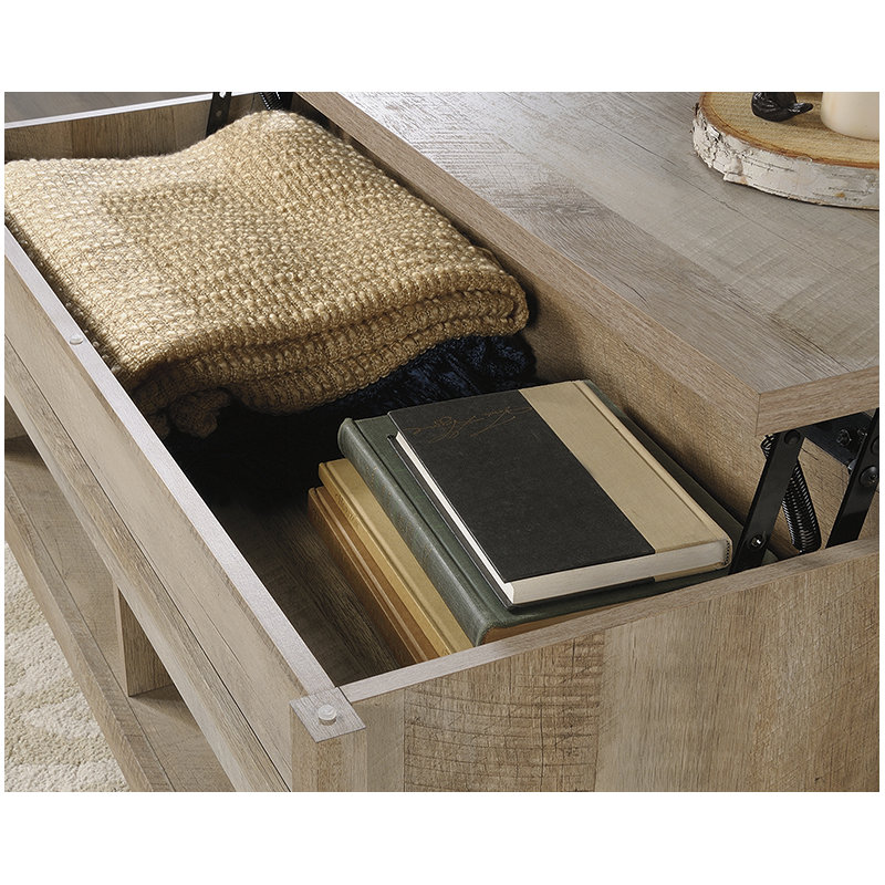 Domen Modern Lift-top Coffee Table, Tan
