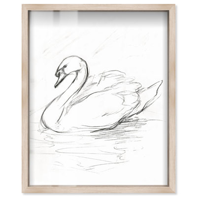 «Graceful Swan II Shadowbox», impression d'art campagnard par Art Remedy