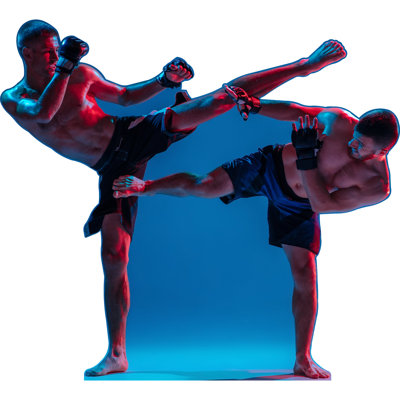 Mma Fighters Kickboxing Kick Boxing Fighting 80" Cardboard Standup