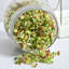 Geo Sprouting Jar System with Stainless Steel Rack and Ceramic Base Plate