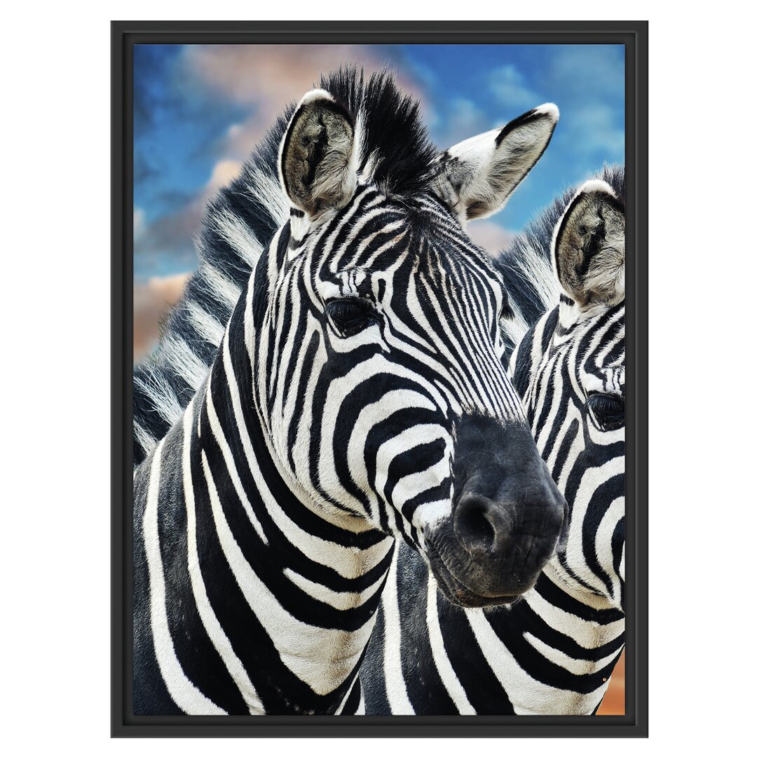 Gerahmtes Wandbild Zebra Pärchen