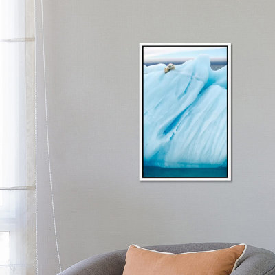 Observing by Joan Gil Raga - Print on Canvas