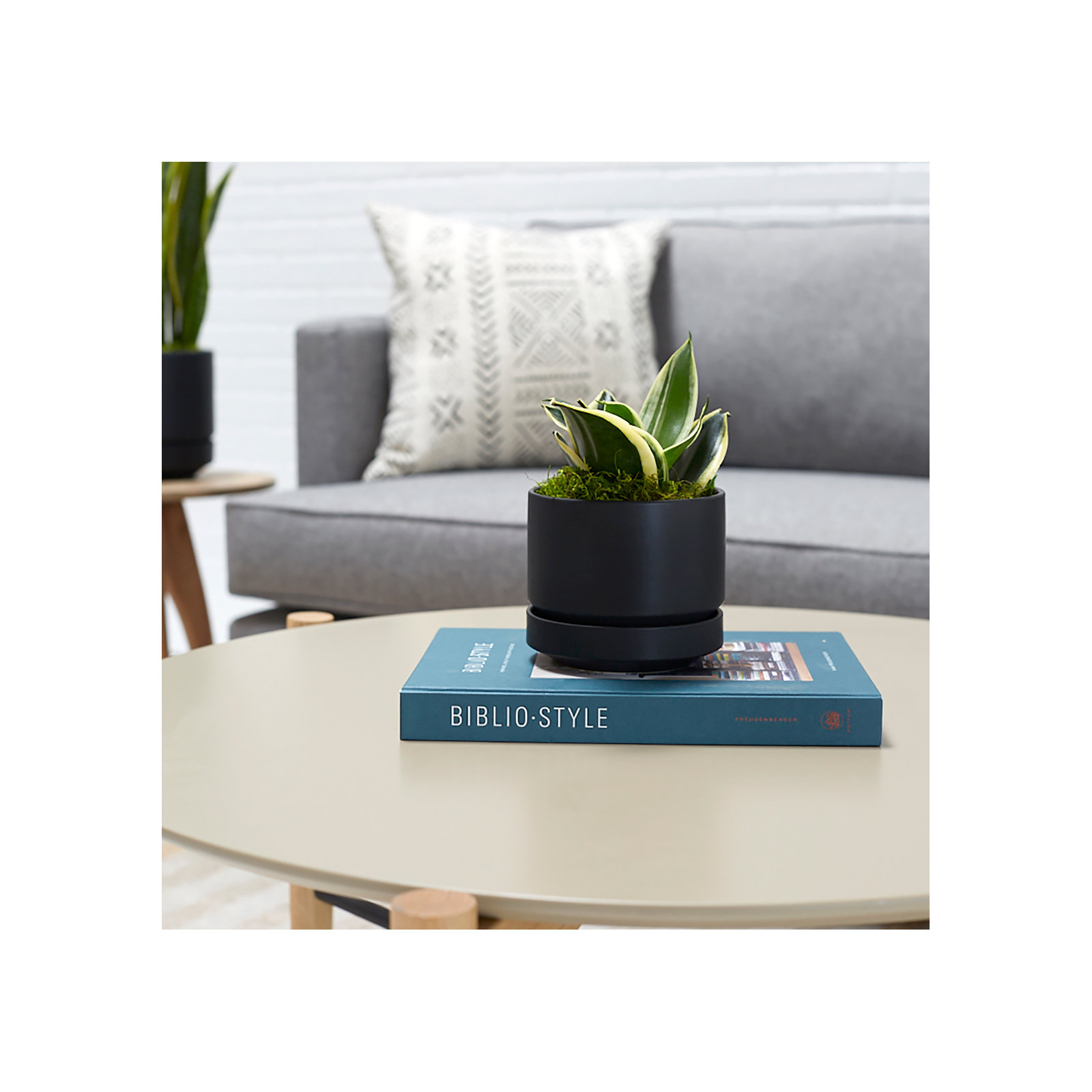 Byer Handmade Ceramic Pot Planter, Black, 6" H x 7" W x 7" D