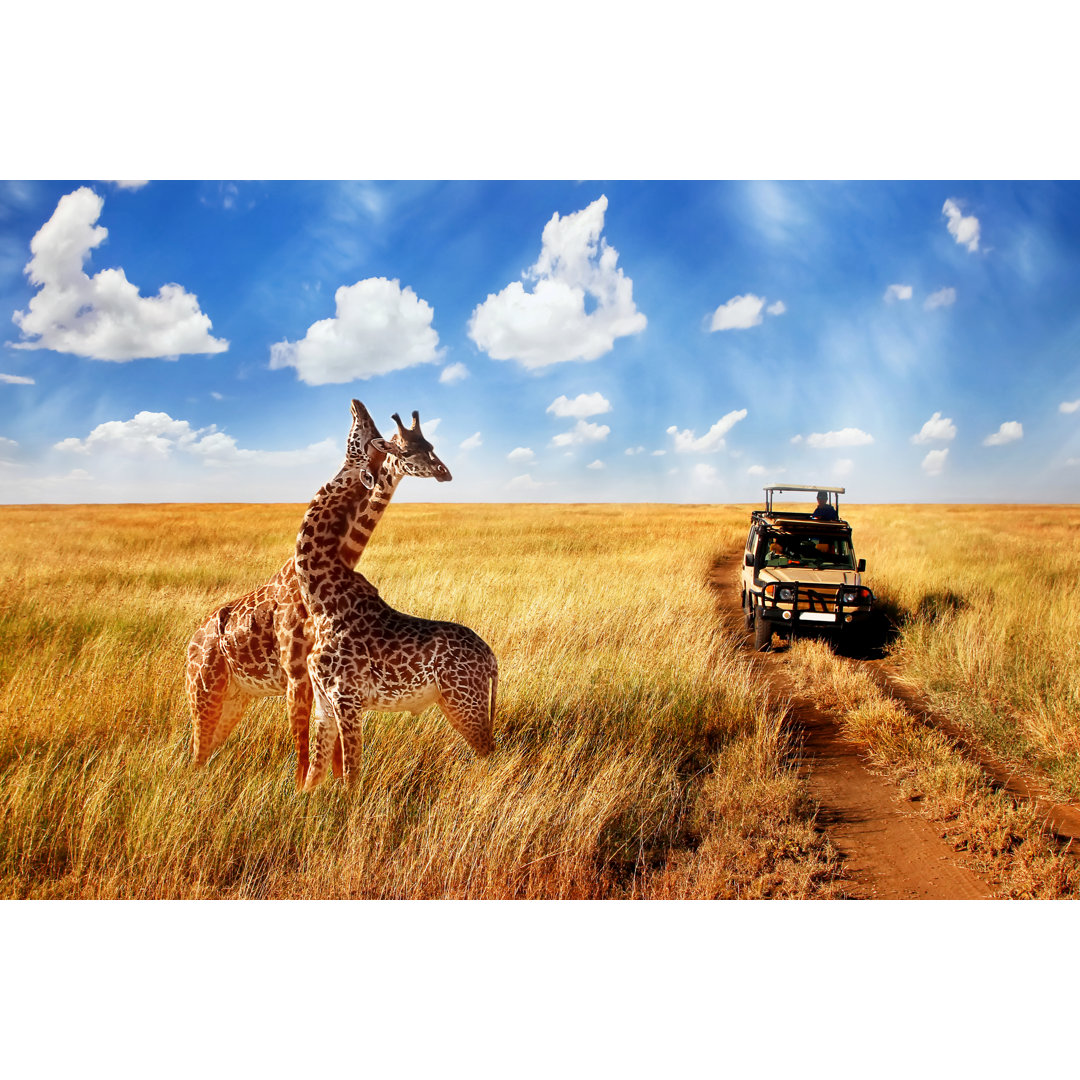 Leinwandbild Gruppe von wilden Giraffen in der afrikanischen Savanne gegen blauen Himmel mit Wolken in der Nähe der Stra...