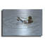 Art mural en métal luxueux «Preening» par Ron Parker, 24 po x 16 po-101657345