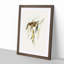 Brown Honeyeater Birds by Elizabeth Gould - Picture Frame Graphic Art Print-55512993-55512988