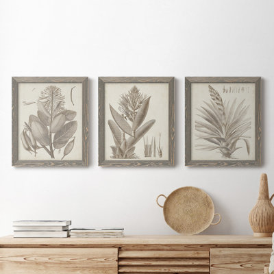«Sepia Exotic Plants I», ensemble de 3 peintures sur toile encadrées