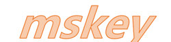 mskey logo