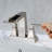 2-handle Bathroom Faucet with Drain Assembly-70482924