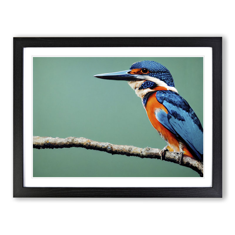 Head Turning Kingfisher Bird - Single Picture Frame Print, 46cm H x 64cm W, Black