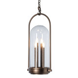 Davis Outdoor Hanging Light - Coastal Burnished Steel