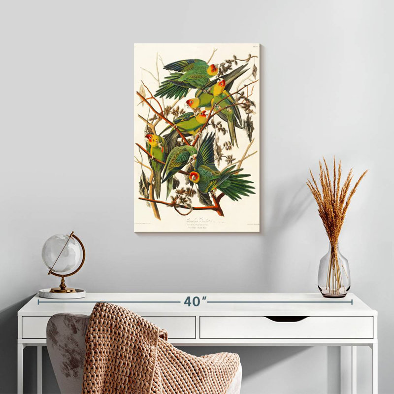 Brampt Carolina Parakeet, 24" H x 16" W