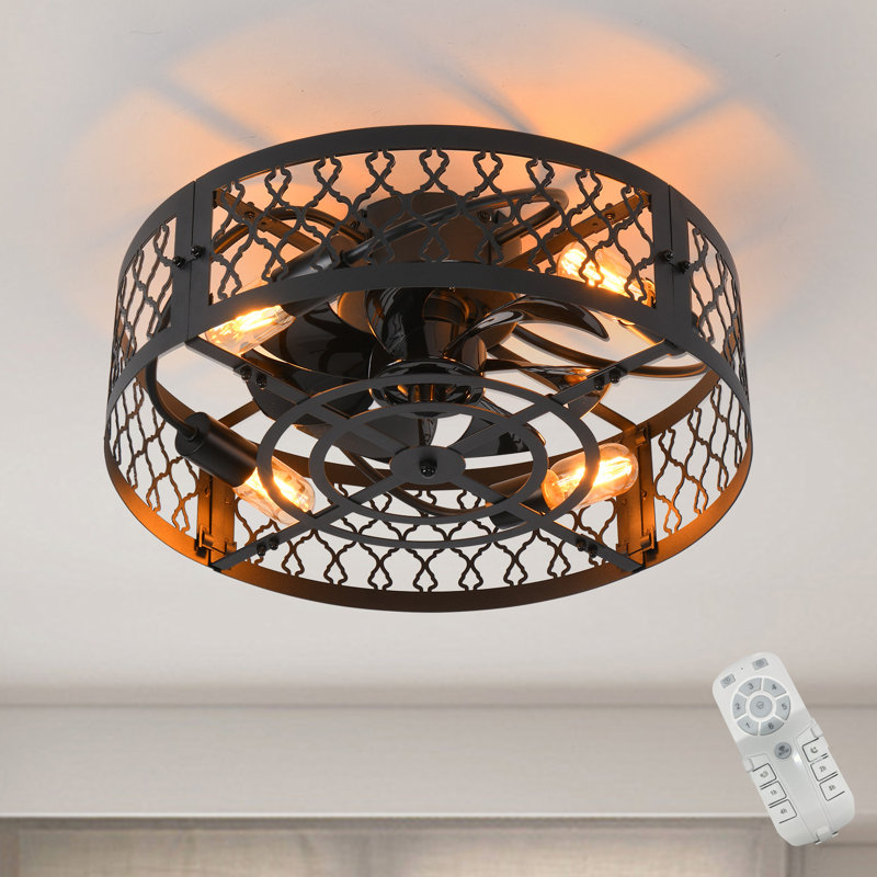 Otylia 19.7'' Farmhouse Reversible Caged Ceiling Fan with Light Kit and Remote, Matte Black