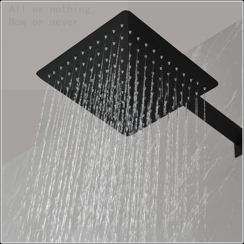 Pomme de douche murale 12 ", Noir mat