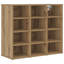Shoe Cabinet-1022872574