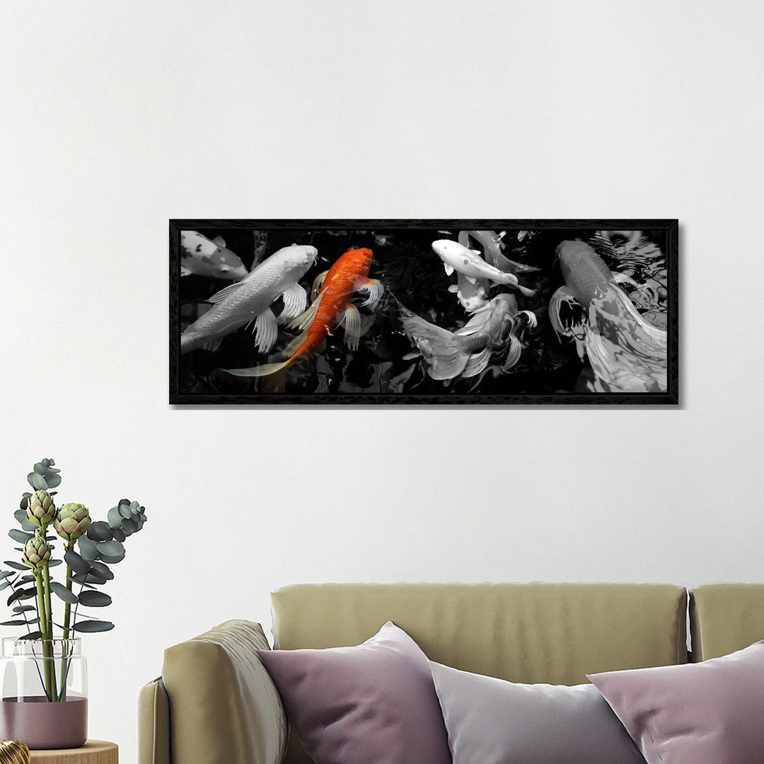 Koi Karpfen schwimmen unter Wasser Color Pop von Panoramic Images - Panoramic Gallery-Wrapped Canvas Giclée on Canvas