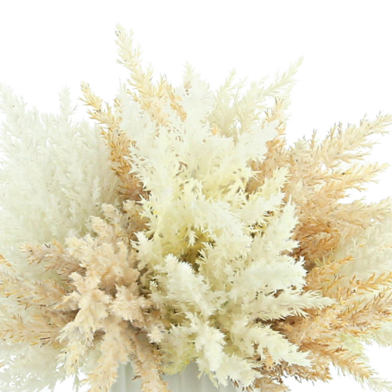 Faux Pampas Grass Grass in Ceramic Vase