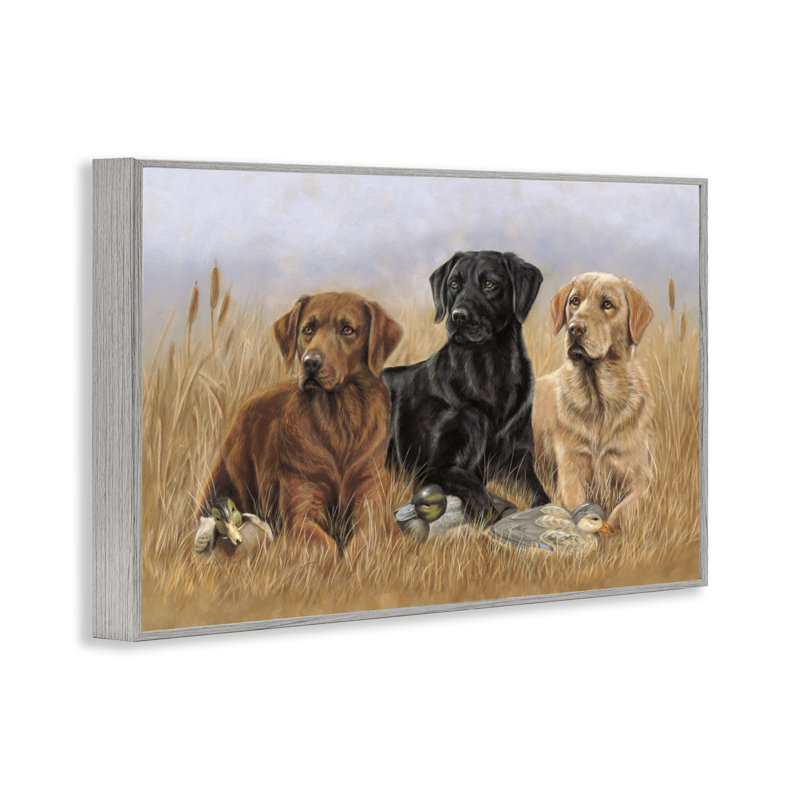 «Dog Trio & Ducks» par Victoria Schultz, Estampe numérique Farmhouse, H 20 po x l 30 po