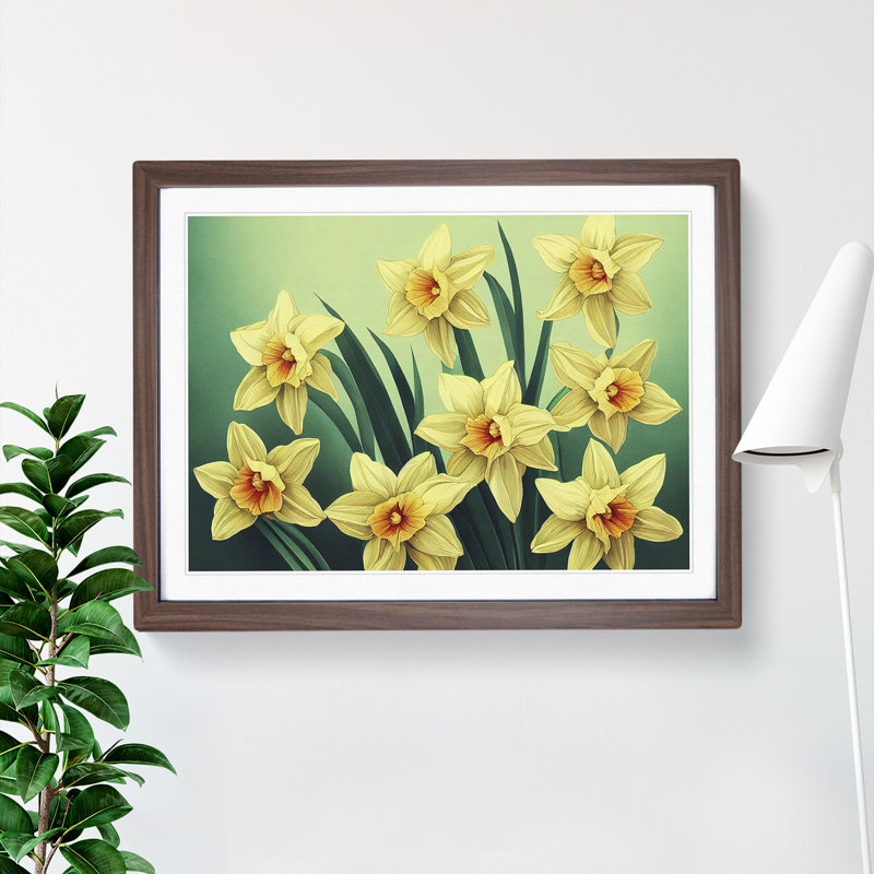 Pleasant Daffodil Flowers - Single Picture Frame Print, 25cm H x 34cm W x 2cm D, Walnut Framed