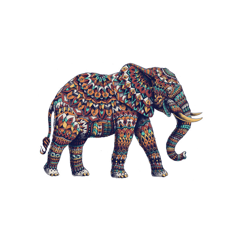 Bioworkz - No Frame Print on Canvas, No Frame, 66.04 cm H x 45.72 cm W x 1.91 cm D