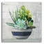 «Succulent Still Life 2 Navy» par Julia Purinton, art mural en verre acrylique-818185728