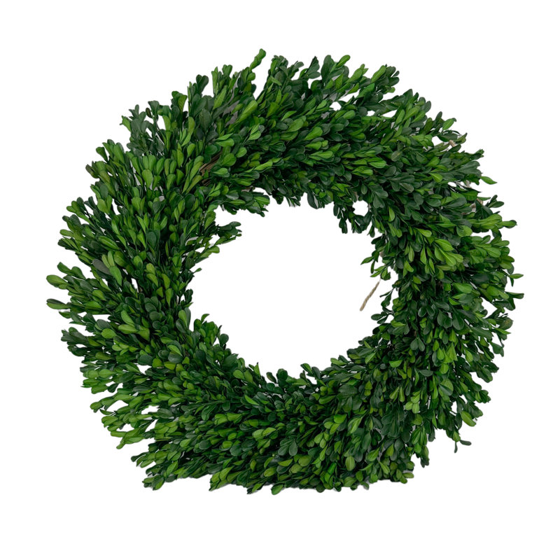 21'' Preserved Wheat Fall Wreath, Green