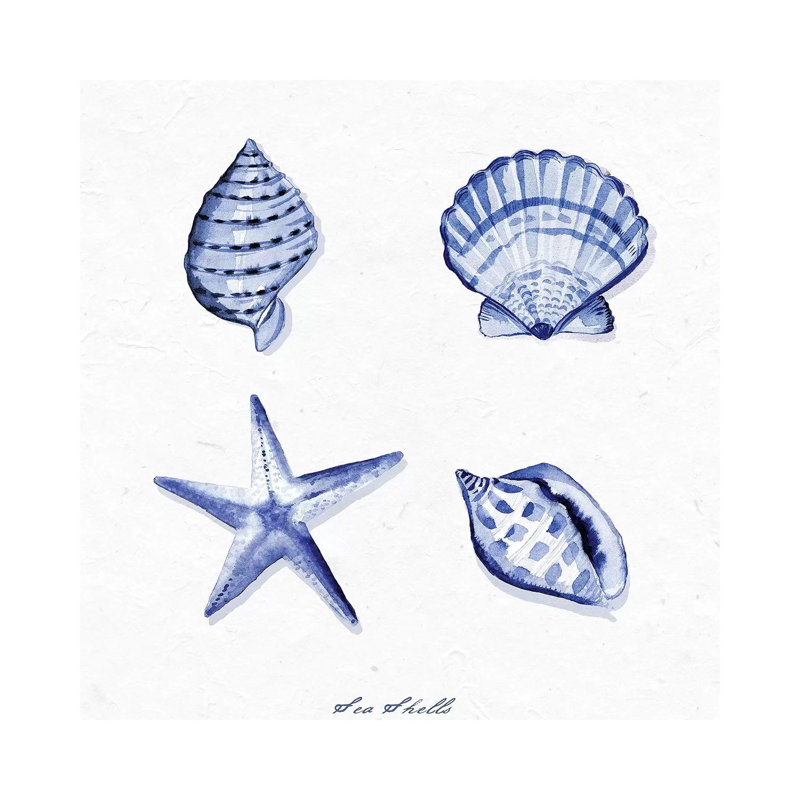 Shell Collection IV by Stephanie Ryan - Painting on Canvas, Wrapped Canvas, 45.72cm H x 45.72cm W x 3.81cm D