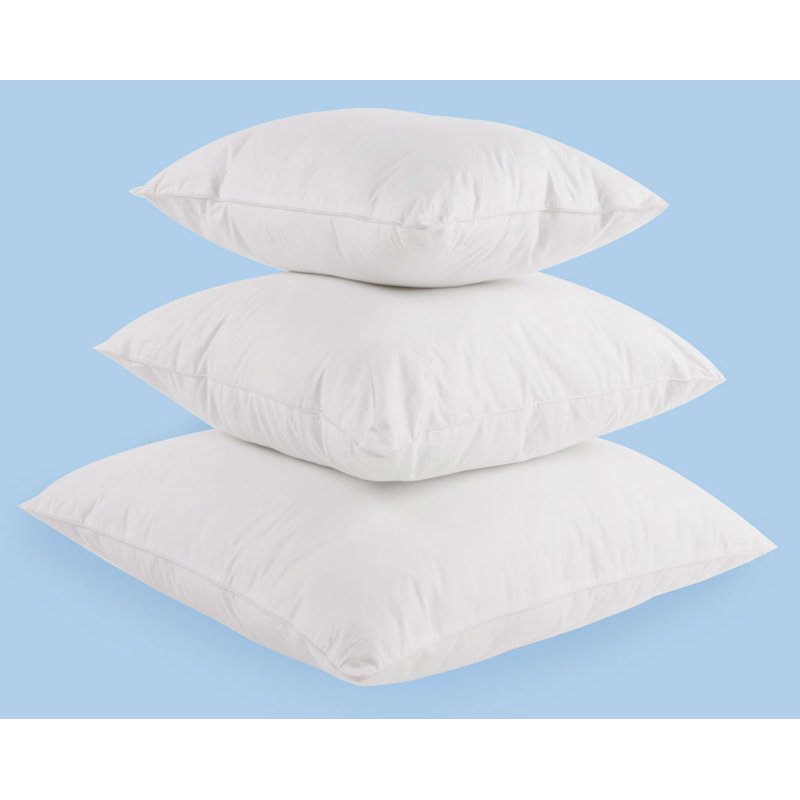 Oreiller en duvet et plumes, 20 po x 20 po