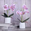 Arrangement in Vase