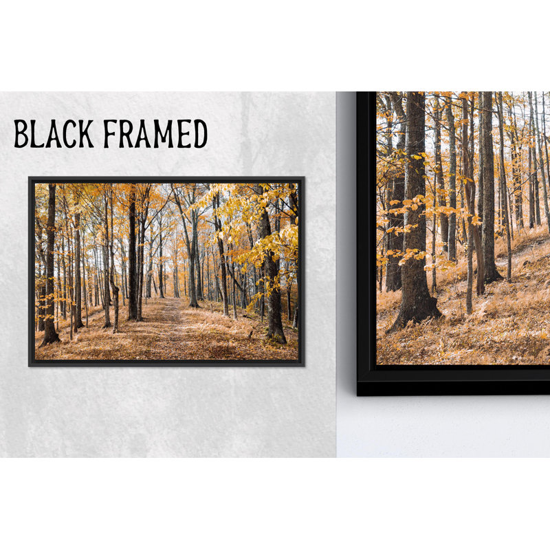 «Autumn Forest Landscape», impression sur toile, 1P BlackFramedCanves, 19,8 po de hauteur x 27,6 po de largeur