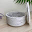 Storage Pot-1399912899