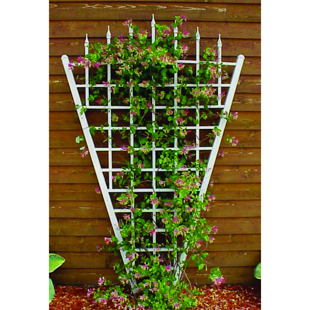 Khachadur Vinyl Fan Trellis August Grove® Color: White