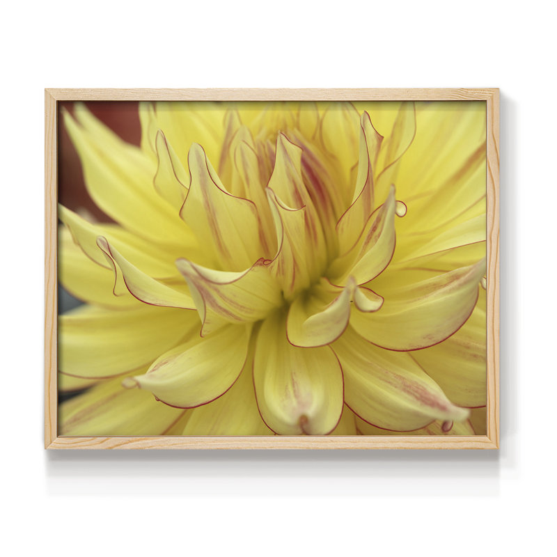 Blooms I - reproduction encadrée - réversible, H 8 po x l 10 po, Naturel