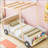 Wood Car Bed With Pillow-1537055425