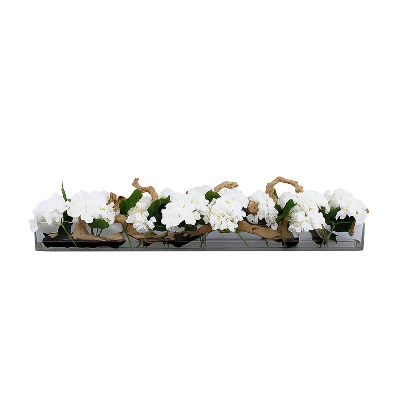Casa Moderna Glass Plate Orchids Floral Arrangement in Planter