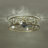 20.5inch 4 - Light Crystal Reversible Caged Ceiling Fan With Light Kit And Remote Control