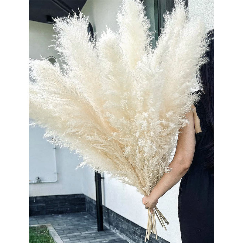 46'' Pampas Grass Plant