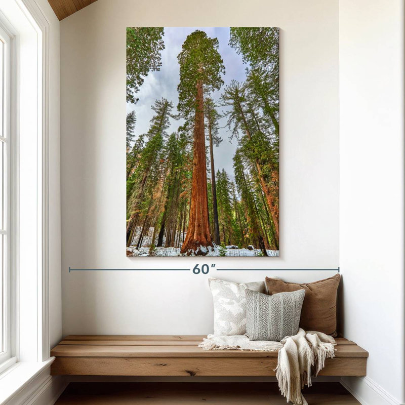 Harnek Giant Sequoia Grove, 51" H x 34" W