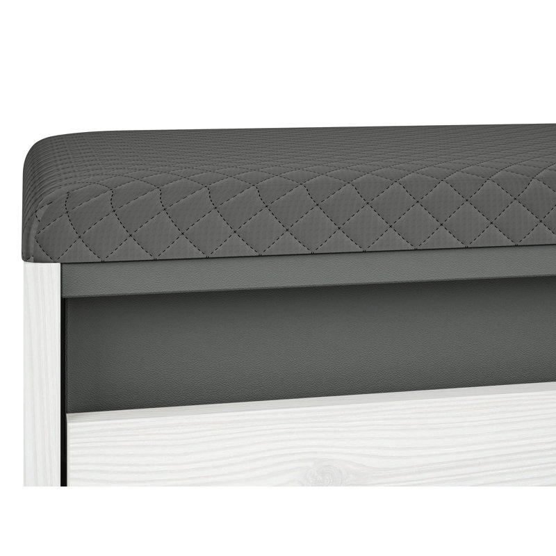 Azaneth 4 Pair Shoe Storage Cabinet