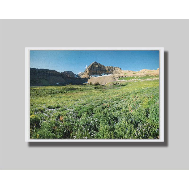 Timpanogos Basin par Scott Barlow. Estampe numérique, image, H 40,5 po x l 60,5 po, Reproduction encadrée sans passe-partout
